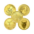 1/10 oz Assorted Pure Gold Coins - Various Mints image 0