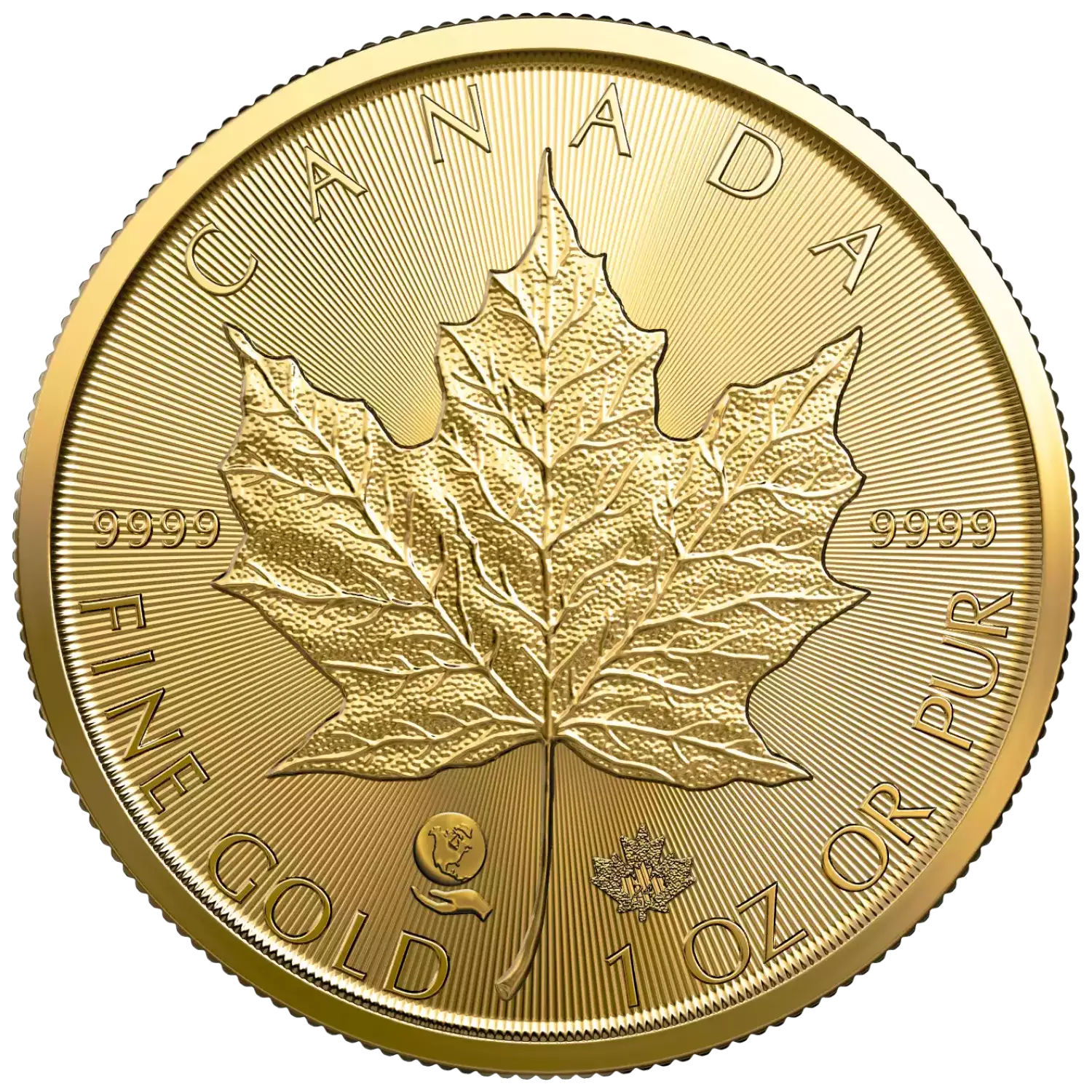 Canadian Gold Maple Leaf 1 oz, Single Source Mine - 2024 image 2