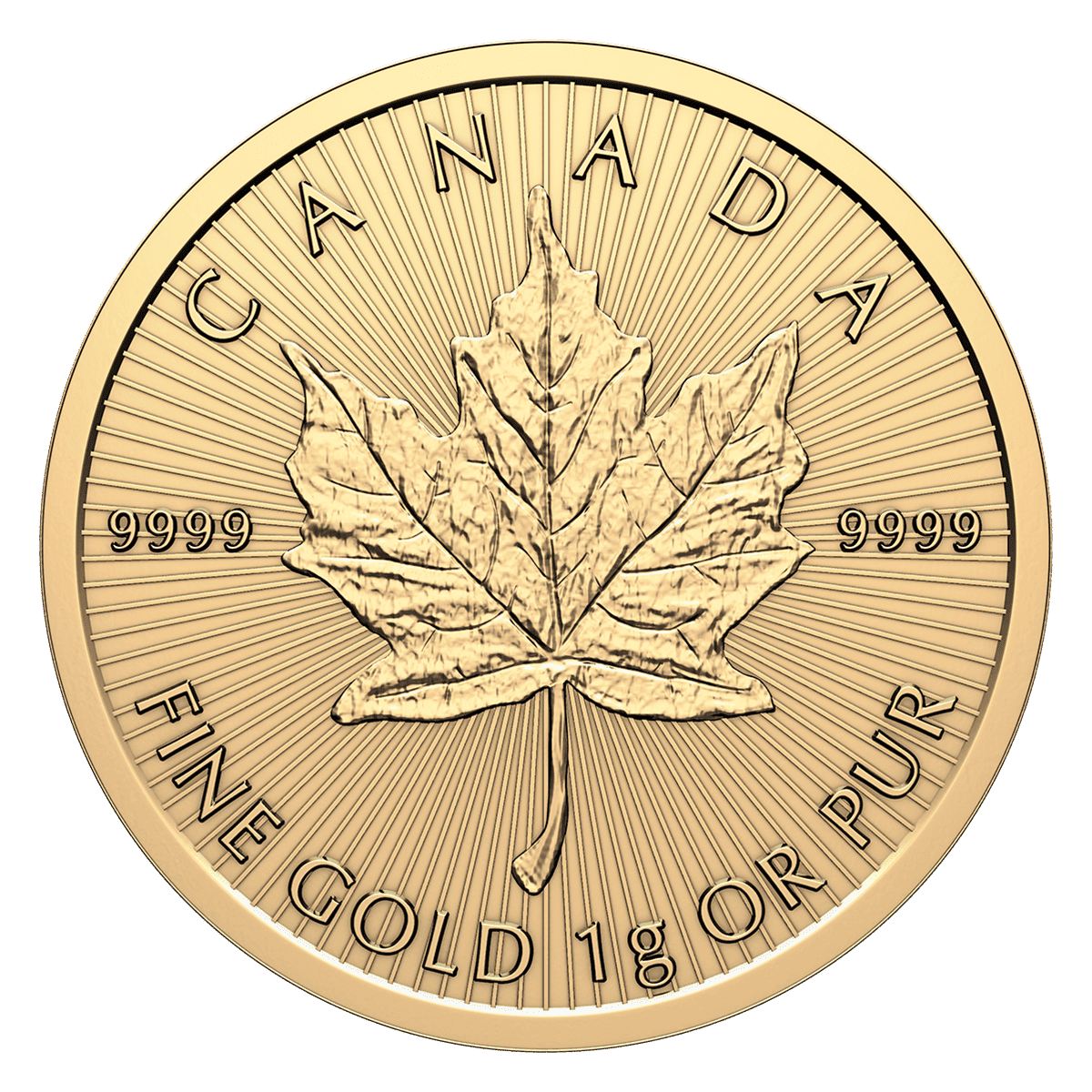 2025 25x 1 gram Gold Maple Leafs Maplegram25? (In Assay Sleeve) image 3