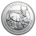 1 Oz Silver Antelope Canadian Coin 2013 image 0