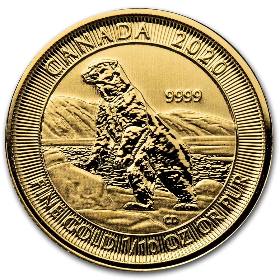 1/10 oz Canadian Polar Bear Gold Coin (Random Year) image 0