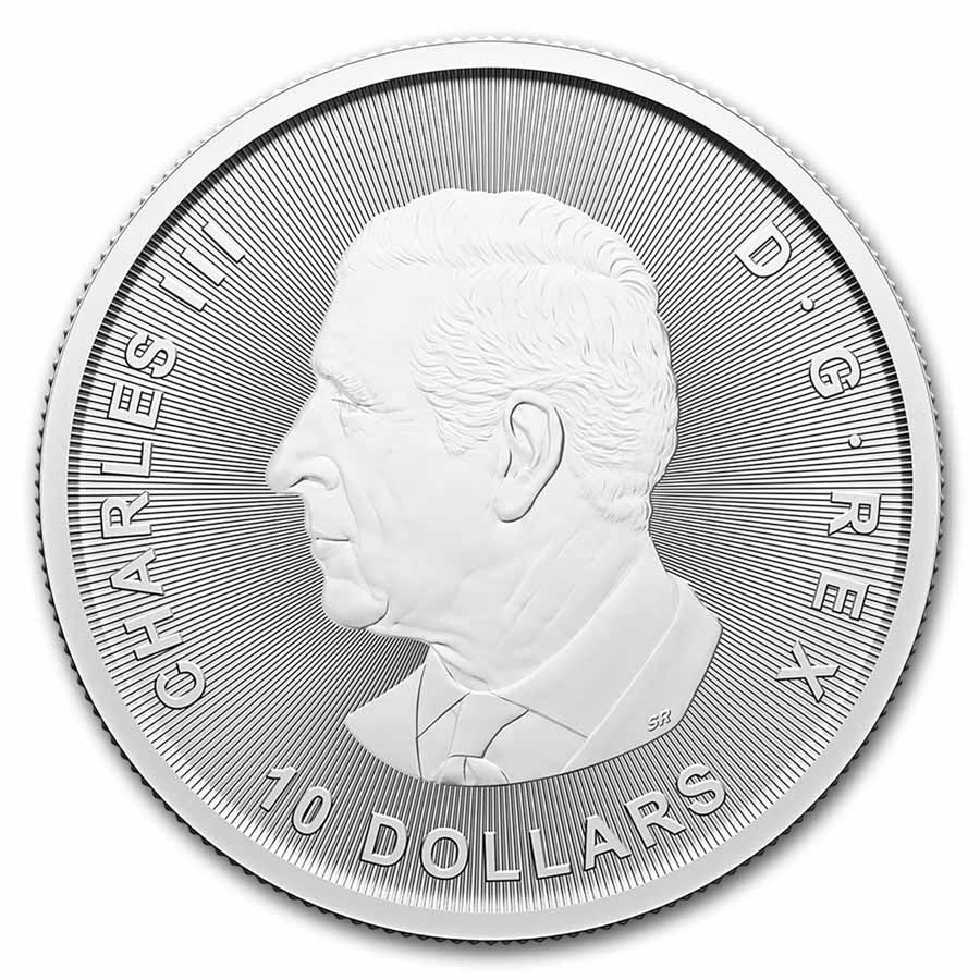 2024 2 oz Canadian Ice Age Woolly Mammoth Silver Coin (BU) image 1