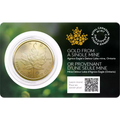 Canadian Gold Maple Leaf 1 oz, Single Source Mine - 2024 image 0